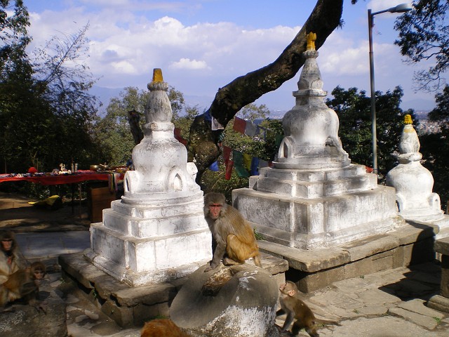 Nepal February March 2007 021